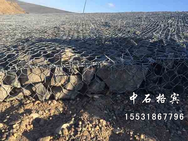 雷諾護墊 雷諾護墊