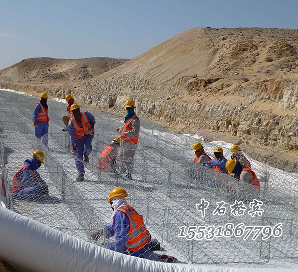 鍍高爾凡雷諾護墊 鍍高爾凡雷諾護墊