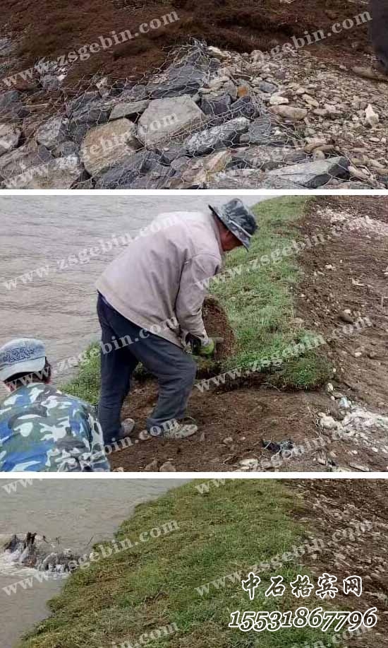 生態(tài)賓格網.jpg 生態(tài)賓格網.jpg