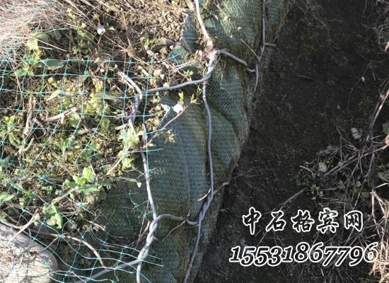 生態(tài)格賓網(wǎng).jpg 生態(tài)格賓網(wǎng).jpg