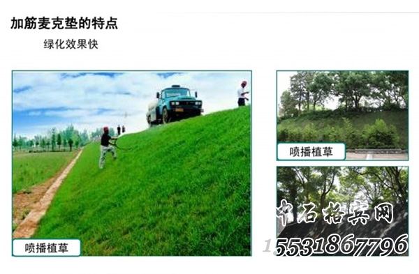 加筋麥克墊 加筋麥克墊