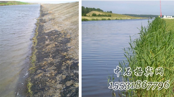 加筋麥克墊護(hù)坡 加筋麥克墊護(hù)坡