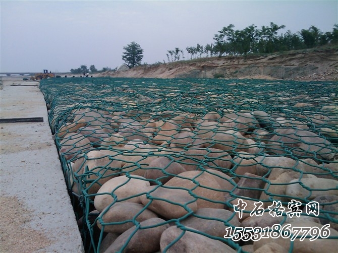 雷諾護(hù)墊 雷諾護(hù)墊