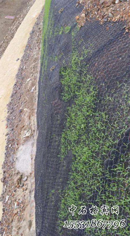 加筋麥克墊護(hù)坡 加筋麥克墊護(hù)坡